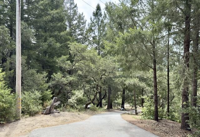 Property Photo:  1374 Weston Ridge Road  CA 95066 