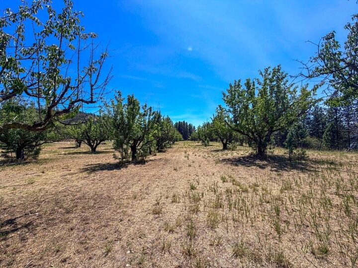 Property Photo:  1240 Peachcrest Rd  WA 99141 