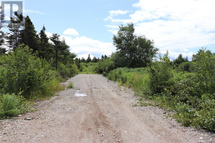 Property Photo:  590A Main Street  NL A0N 1Z0 