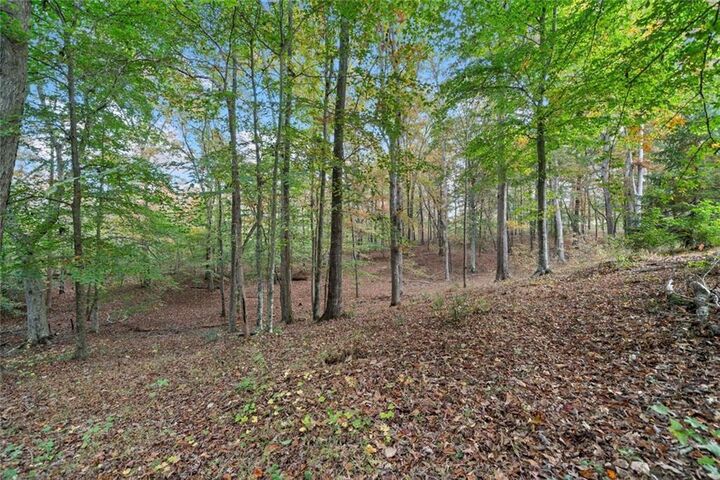 Property Photo: 000 Ammons Drive GA 30183