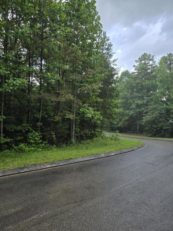 Property Photo:  Lot 156 Lower Brow Road  TN 37327 