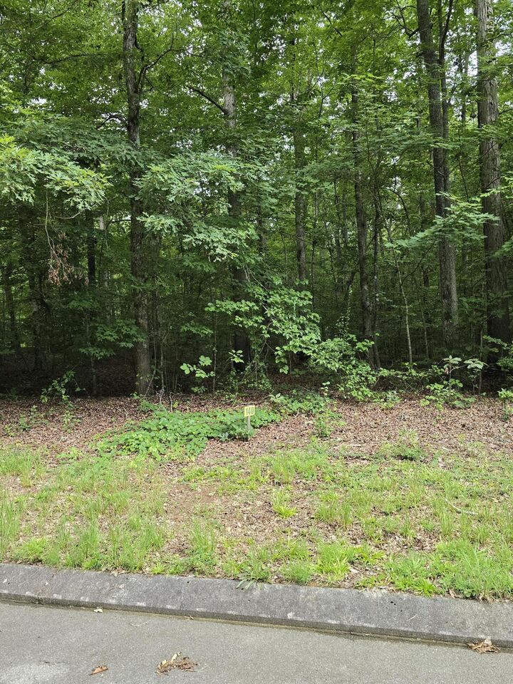 Property Photo: Lot 140 Lower Brow Road TN 37327