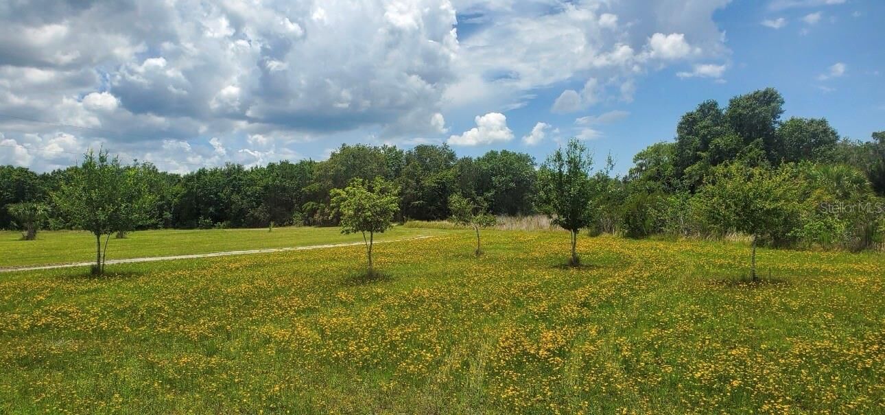 Property Photo: 15908 W Lake Drive FL 33598