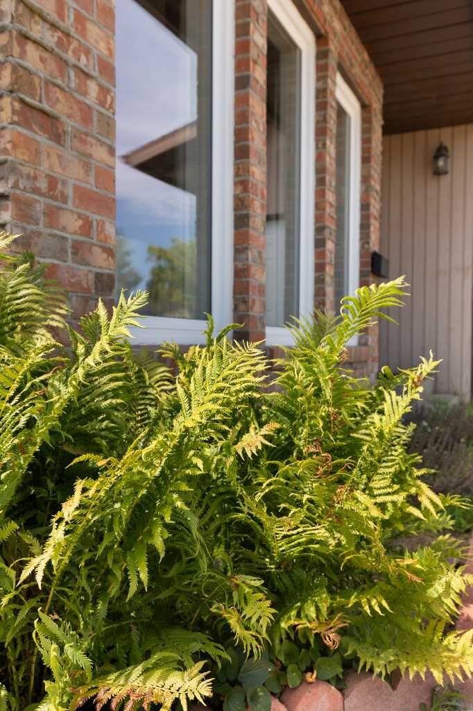Property Photo: 8 Rice Court SE AB T1B 3X1