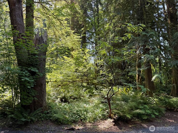 Property Photo: 0 Silver Lake Road WA 98266