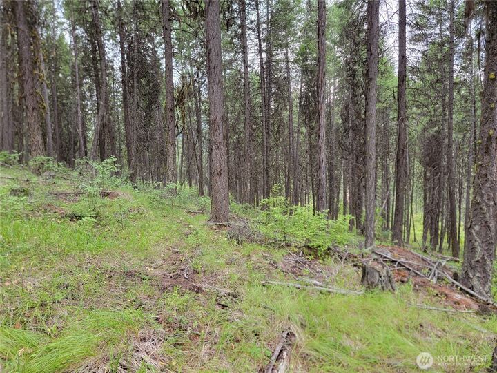 Property Photo:  0  Dragon's Lair Lane  WA 99118 