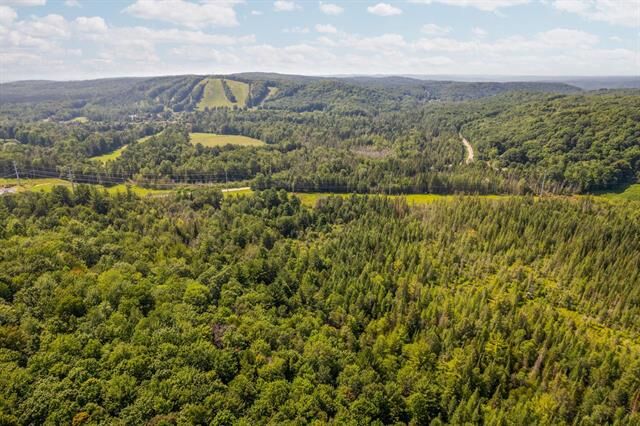 Property Photo: Parcels A &Amp B Schuss Mountain Road MI 49659