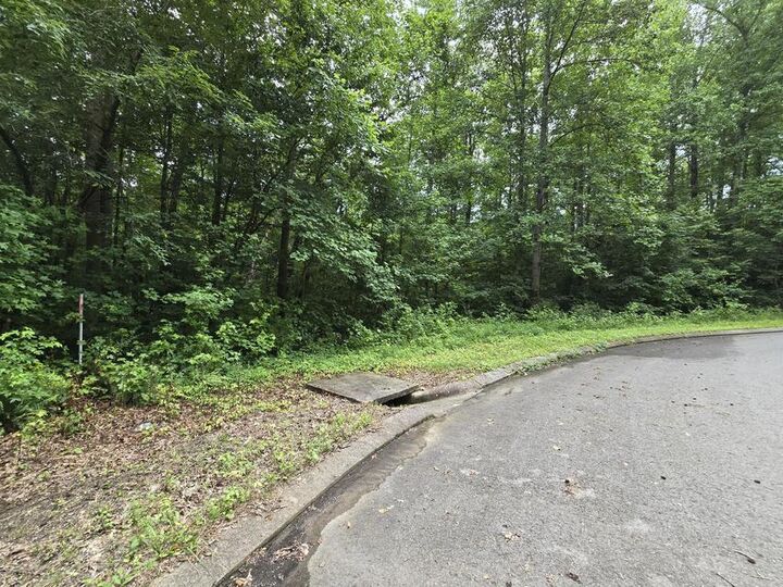 Property Photo:  Lot 133 Lower Brow Road  TN 37327 