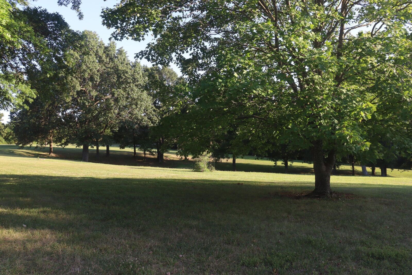 Property Photo:  17984 State Highway 248  MO 65625 