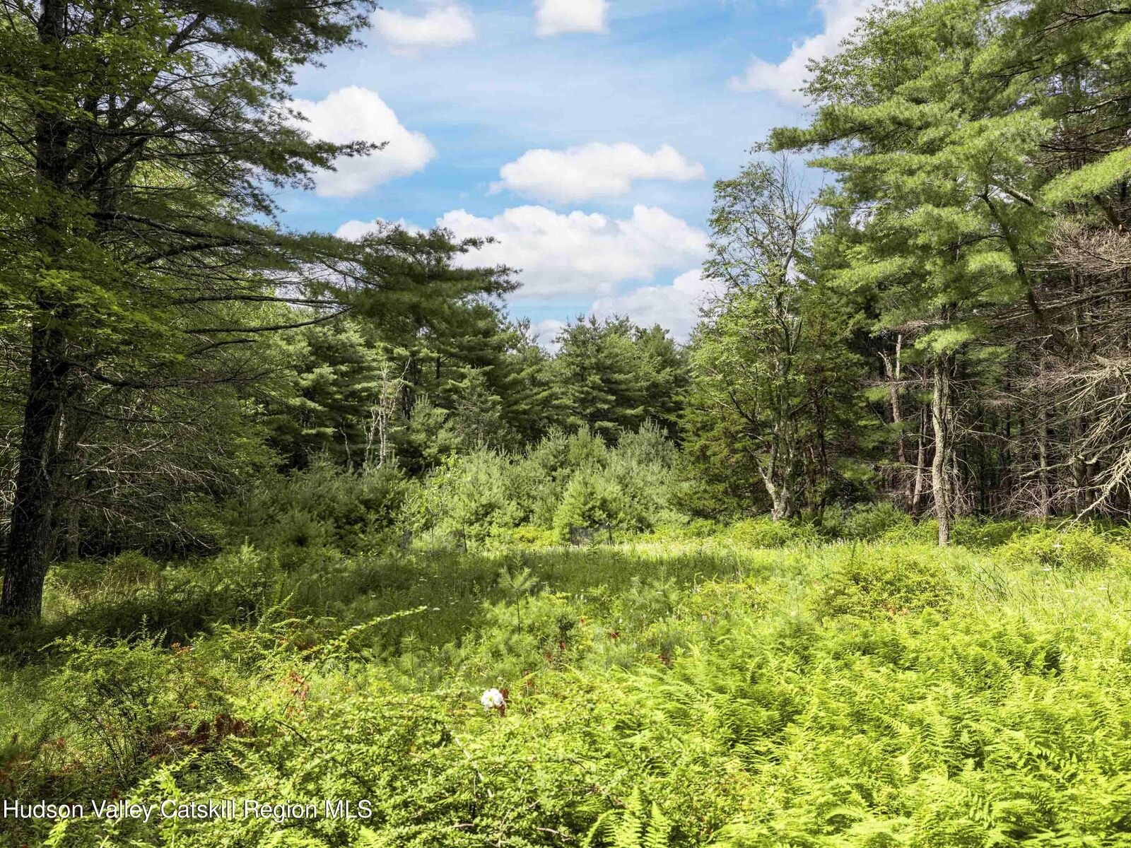 Property Photo:  154 Lang  NY 12404 