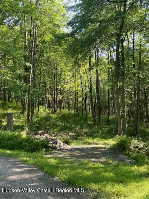 Property Photo: 154 Lang NY 12404