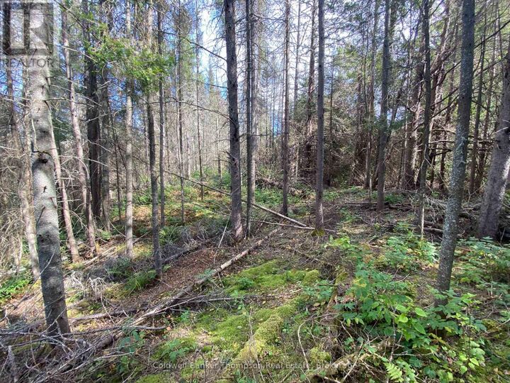 Photo de la propriété:  0 Municipal Road North  ON P0A 1X0 
