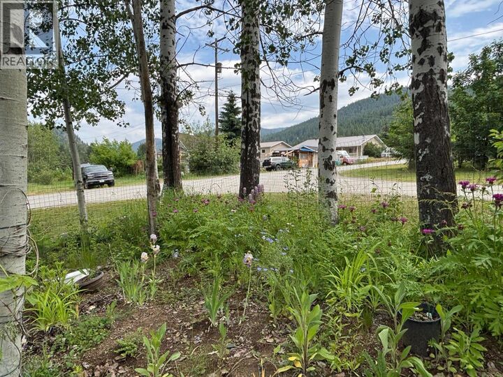 Property Photo: 360 3rd Street BC V0H 1J0