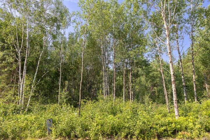 Property Photo: 17 Jackpine Crescent MB R0A 2N0