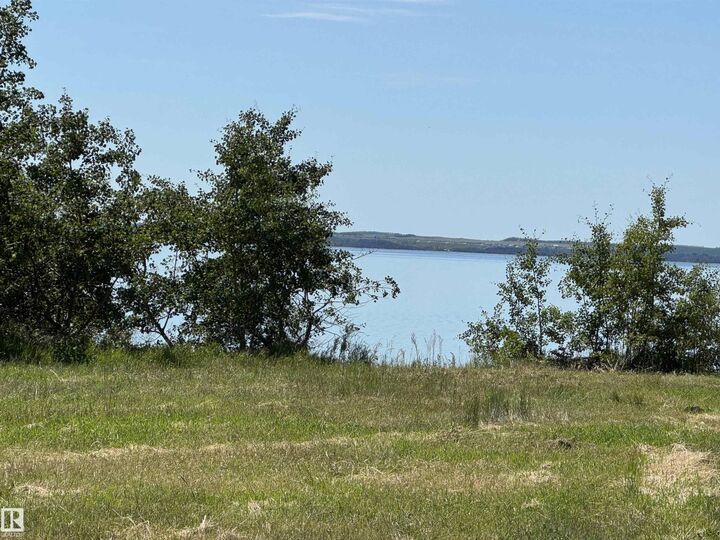 Property Photo:  217 Lakeview Drive  AB T0B 0H3 