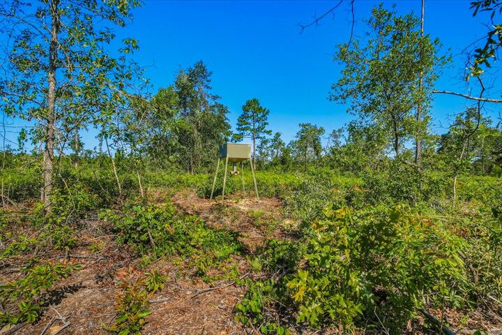 Property Photo:  38 Acres Ga Highway 0240 Conn  GA 31058 