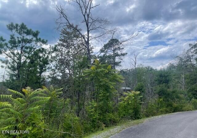 Property Photo: Lot 4 River Birch Way TN 37862