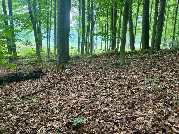 Property Photo: V/L 8 Forest Trail MI 49615
