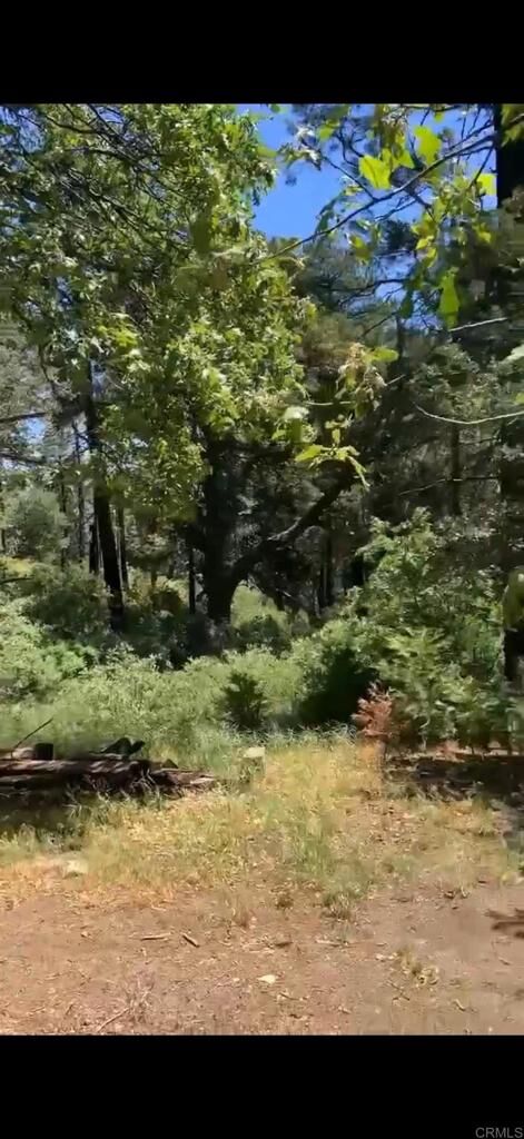 Property Photo:  0 Burnt Creek Canyon Road  CA 92322 