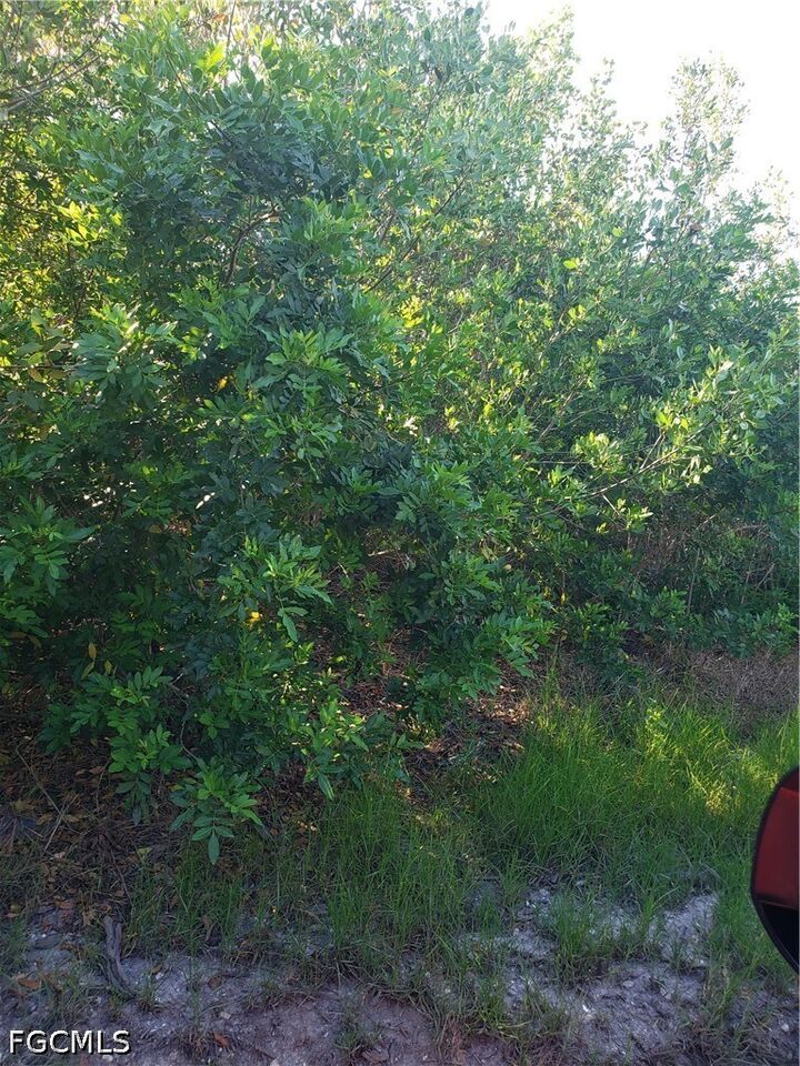 Property Photo:  Tbd Masters Landing Drive  FL 33956 