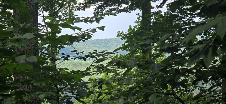Property Photo:  Lot 7 Scouts Overlook  GA 30560 