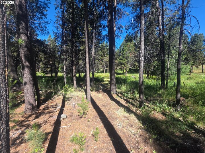 Property Photo:  17040 Island Loop Way  OR 97707 