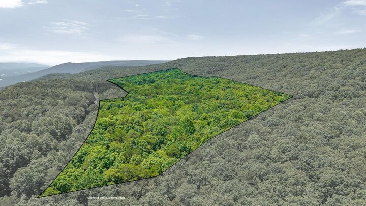 Property Photo: 41.04 Ac Windridge Drive TN 37327