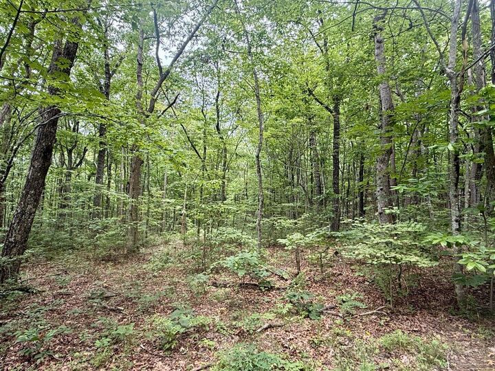 Property Photo:  41.04 Ac Windridge Drive  TN 37327 