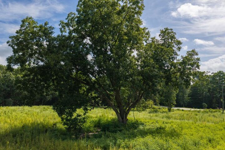 Property Photo: 046 Eddins Rd. AL 36301