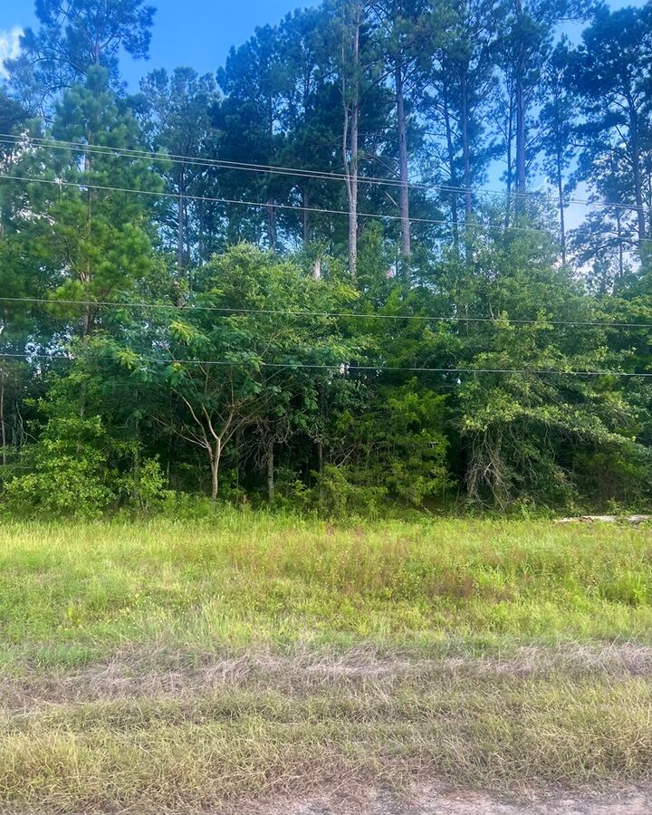 Property Photo:  Tbd Willie Varnum Rd Lot 17 Greenbrier Farms S/D  AL 36320 