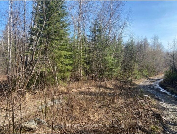 Property Photo:  Pcl 10742 McGarry N/A  ON P0K 1X0 