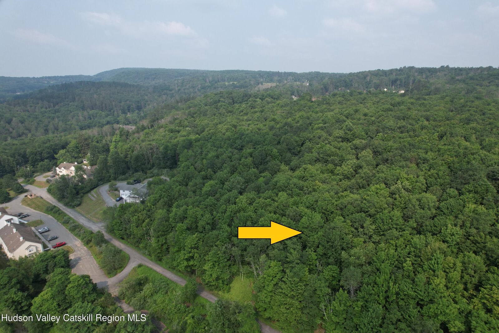 Property Photo: 00* Timberwolf NY 12754