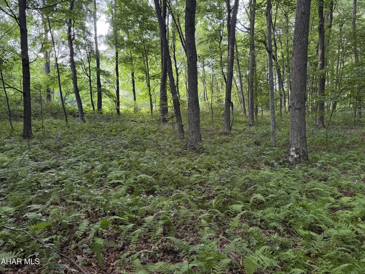 Property Photo: 00 Winterberry Lane Lot 14 PA 16657