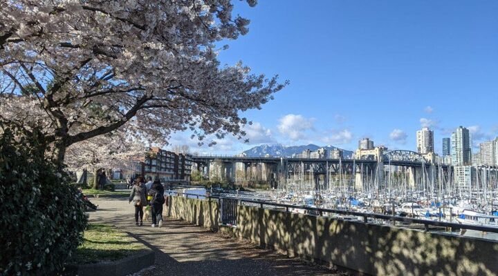 Property Photo: 129 Regiment Square BC V6B 1X5