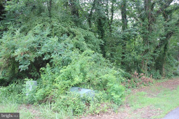 Property Photo:  26457 Peninsular Drive  MD 20636 