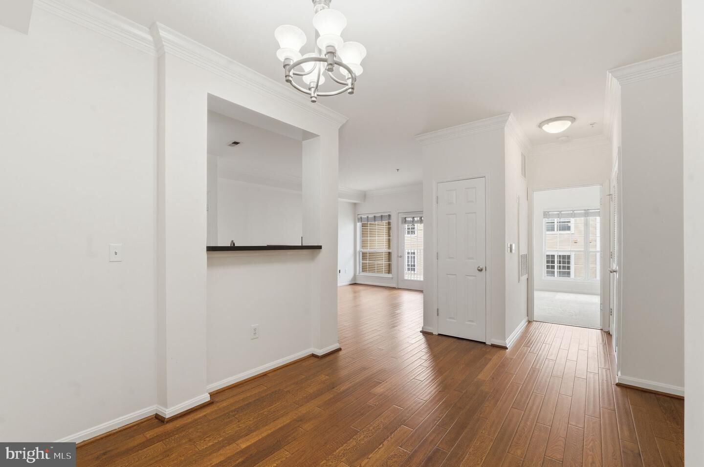 Property Photo: 4854 Eisenhower Avenue 351 VA 22304