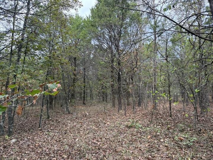 Property Photo:  Off Of Lawrence 106  AR 72459 