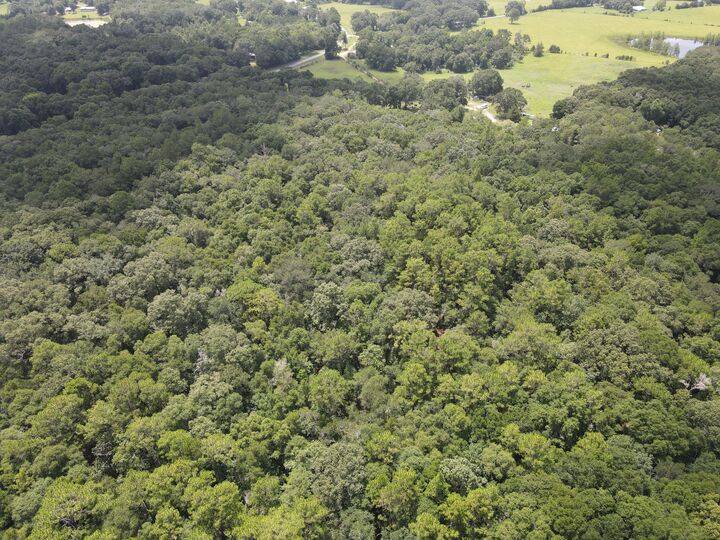 Property Photo:  3928 E Co Highway 181  FL 32464 