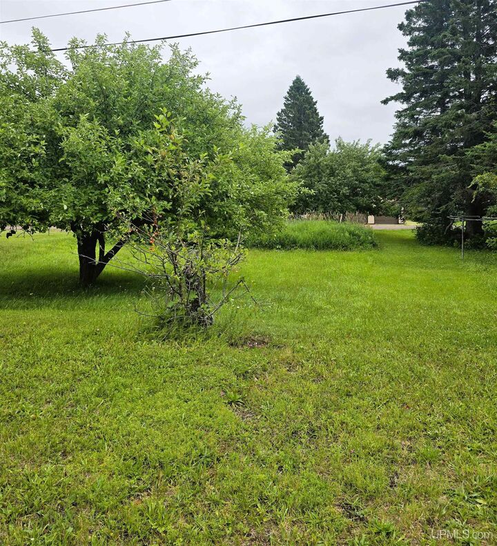 Property Photo:  56702 Hecla Street  MI 49913 