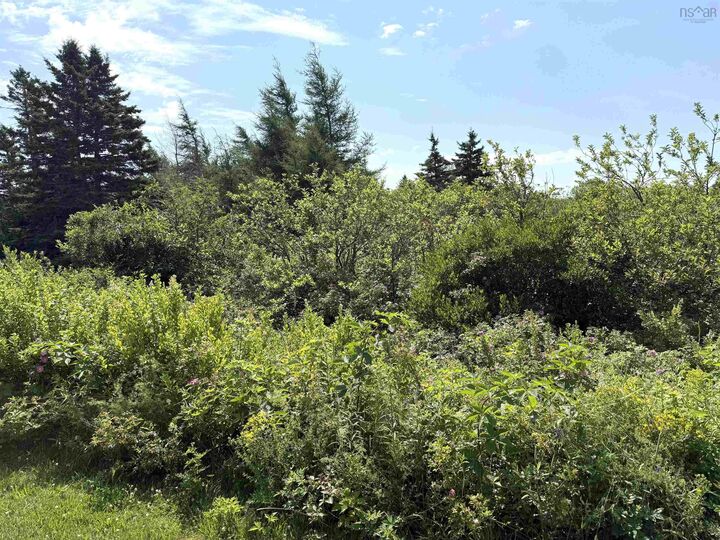 Property Photo:  Lot 33 Elderberry Drive  NS B0K 1E0 