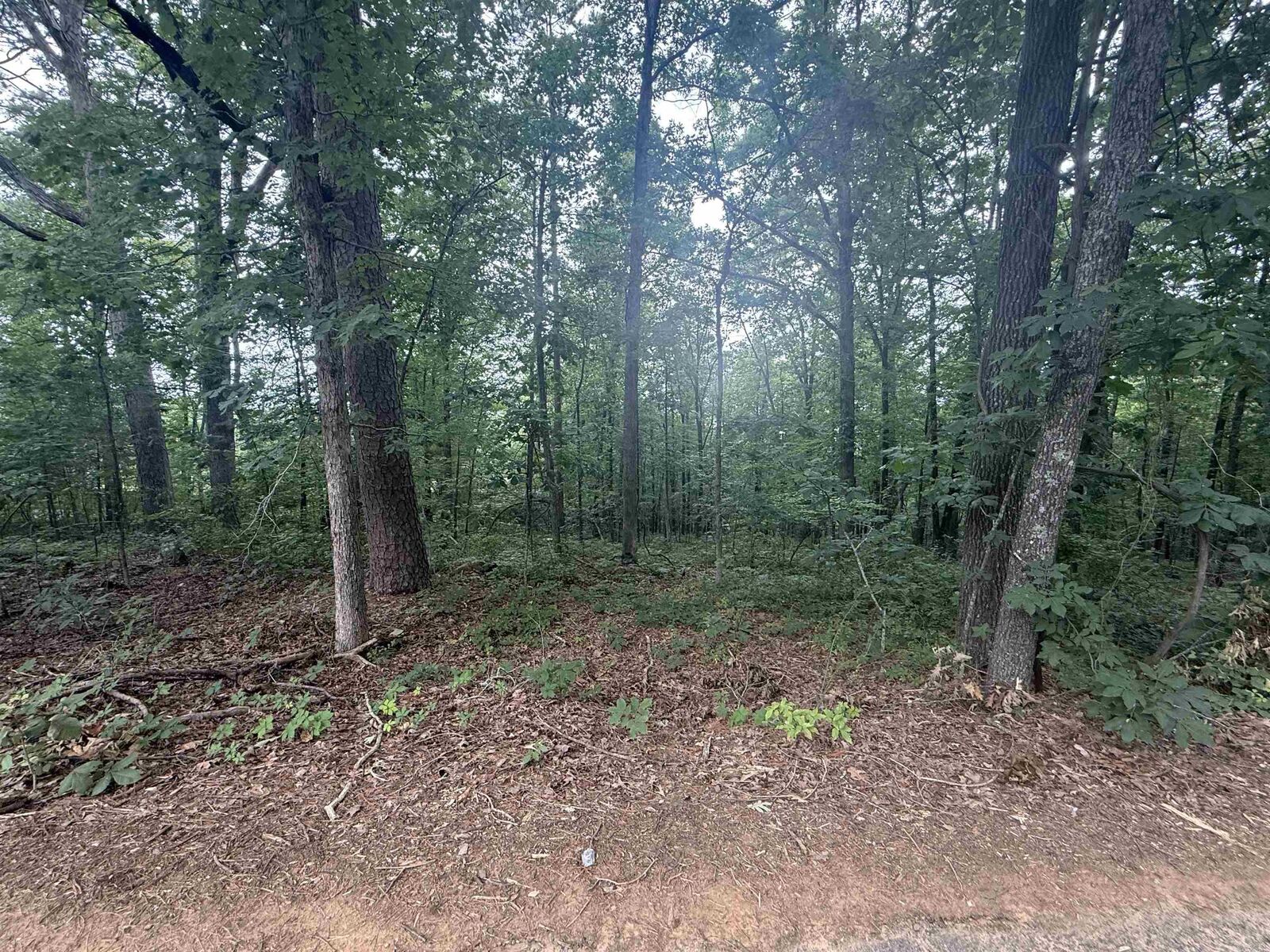 Property Photo:  Pine Drive  AR 72543-7790 