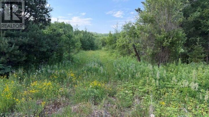 Property Photo:  6525 Hwy 61  ON P7L 0C8 