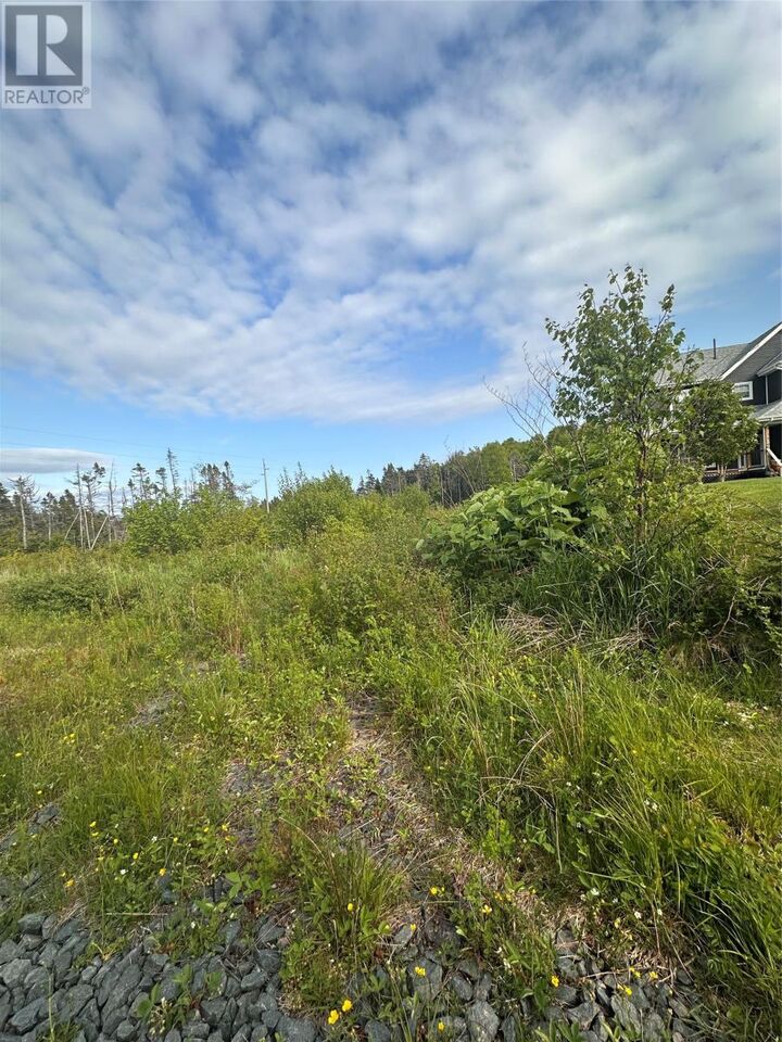 Property Photo:  51 A Kimberley Farm Road  NL A0E 2Y0 