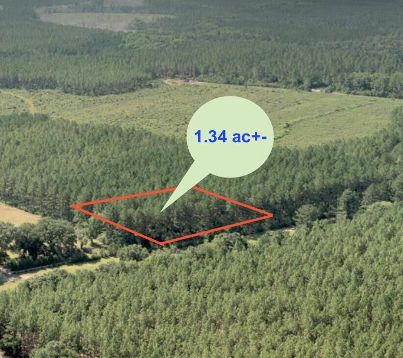 Property Photo:  1.34 Acres N Hwy 85  FL 32567 