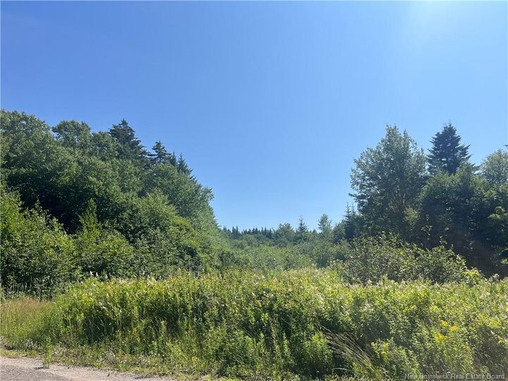 Property Photo:  Lot Rabbit Road  NB E4H 3R6 
