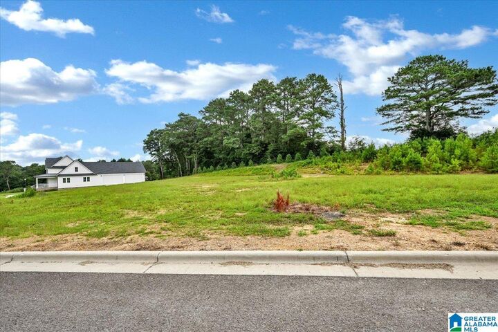 Property Photo:  Lot 20 Ridgewood Drive 20  AL 35055 