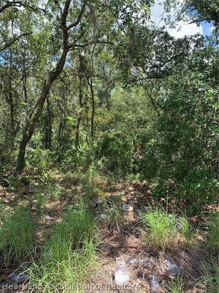 Property Photo: 221 Gloaming Drive FL 33852
