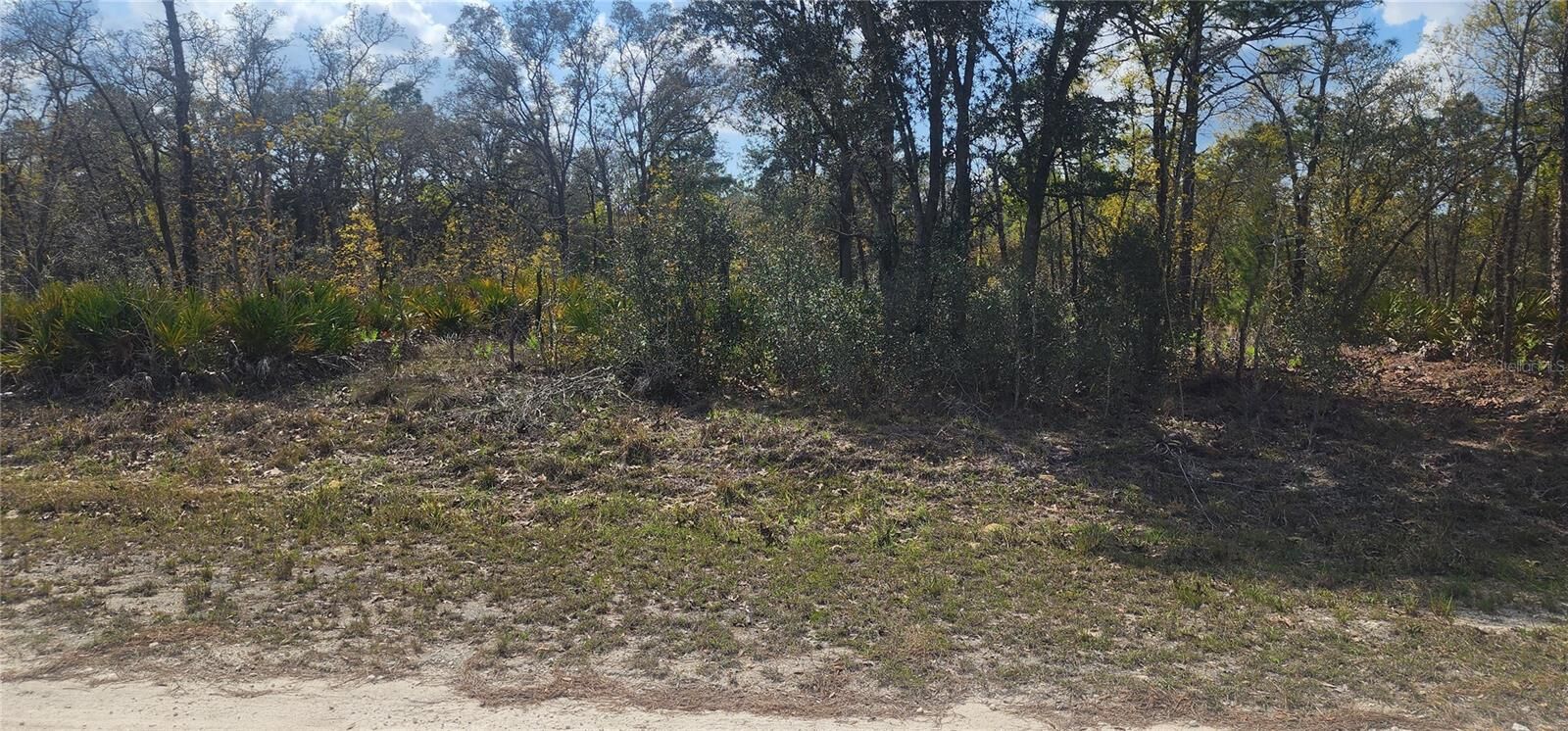 Property Photo: 18043 Ramsey Road FL 34614
