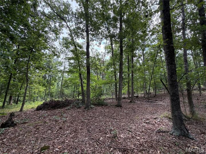 Property Photo:  #306 Madison 410  MO 63645 