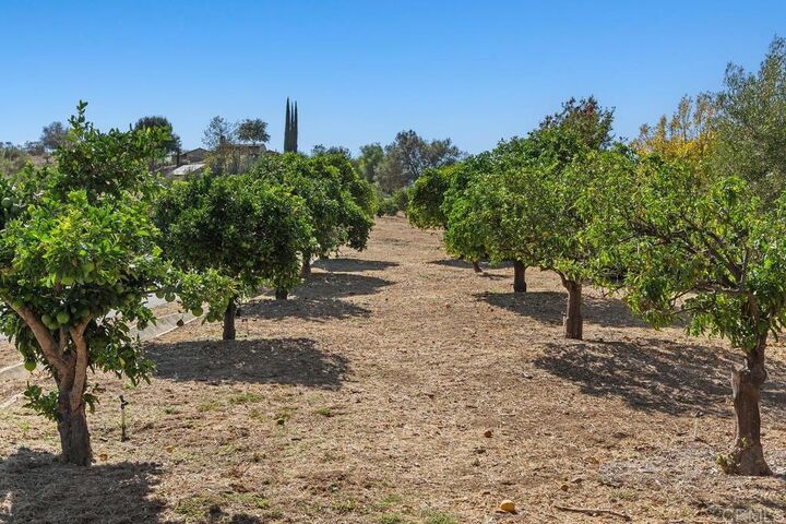 Property Photo:  2777 Kingridge Drive  CA 92028 